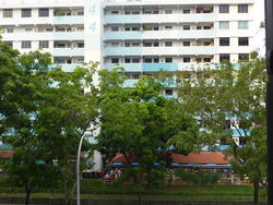 Blk 631 Hougang Avenue 8 (Hougang), HDB 3 Rooms #154935862